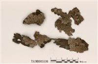 藏品(裂芽緣齒梅衣)的圖片